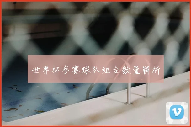 世界杯参赛球队组合数量解析