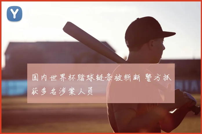 国内世界杯赌球链条被斩断 警方抓获多名涉案人员