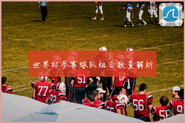 世界杯参赛球队组合数量解析