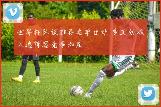 世界杯队伍推荐名单出炉 多支劲旅入选阵容竞争加剧
