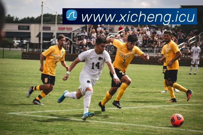 mksports官方登录入口平台生态图