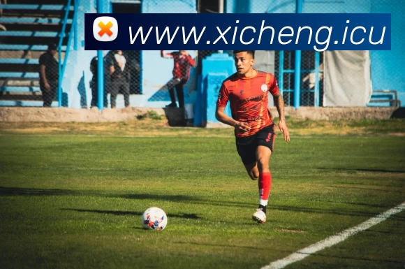 金年汇网页版登录入口·(官方)官网入口平台生态图